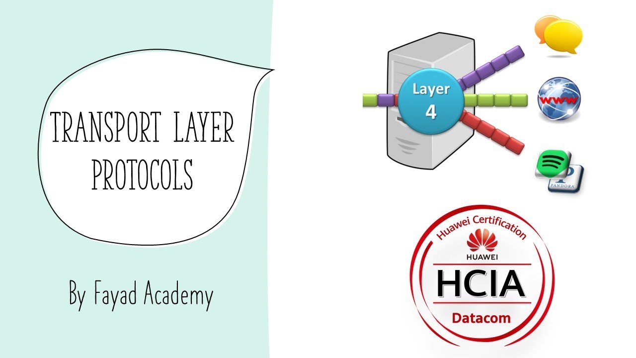 Session 07: Transport Layer Protocols - YouTube