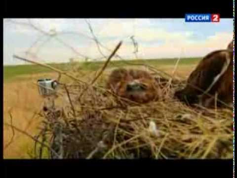 Заповедник "Черные земли"