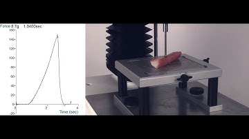 5mm Spherical Probe | Measure a wide range of properties using a Texture Analyser