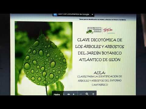Vídeo: Taxonomia pràctica: exemples d'espècies vegetals