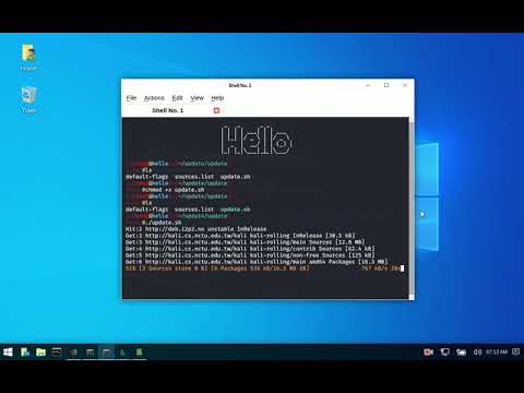 kali linux updating bash script