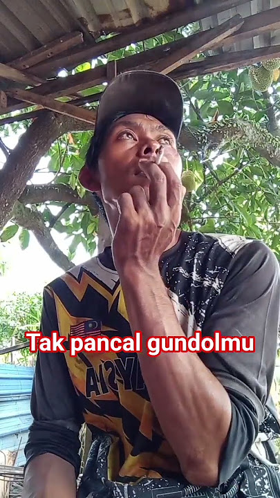 tak pancal