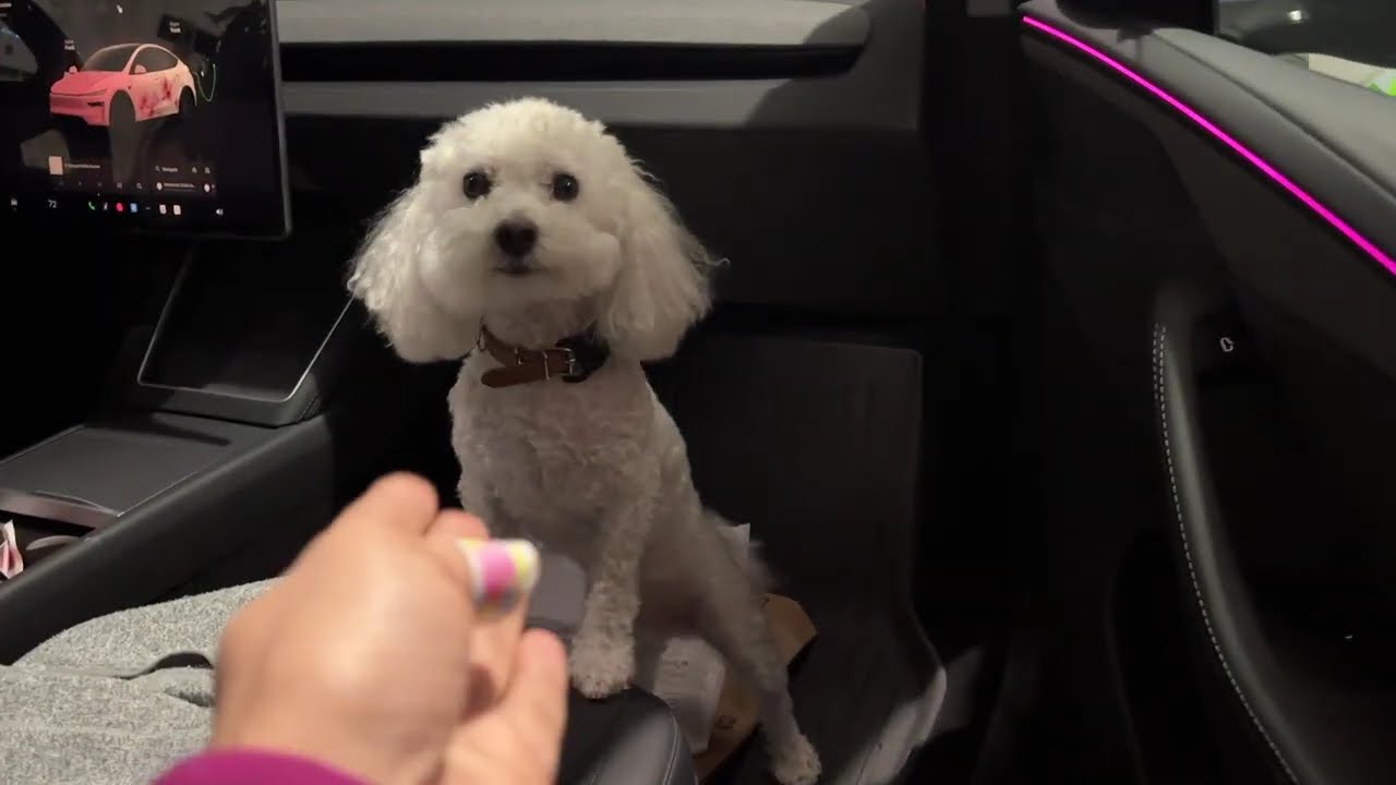 Resident mom productive weekend