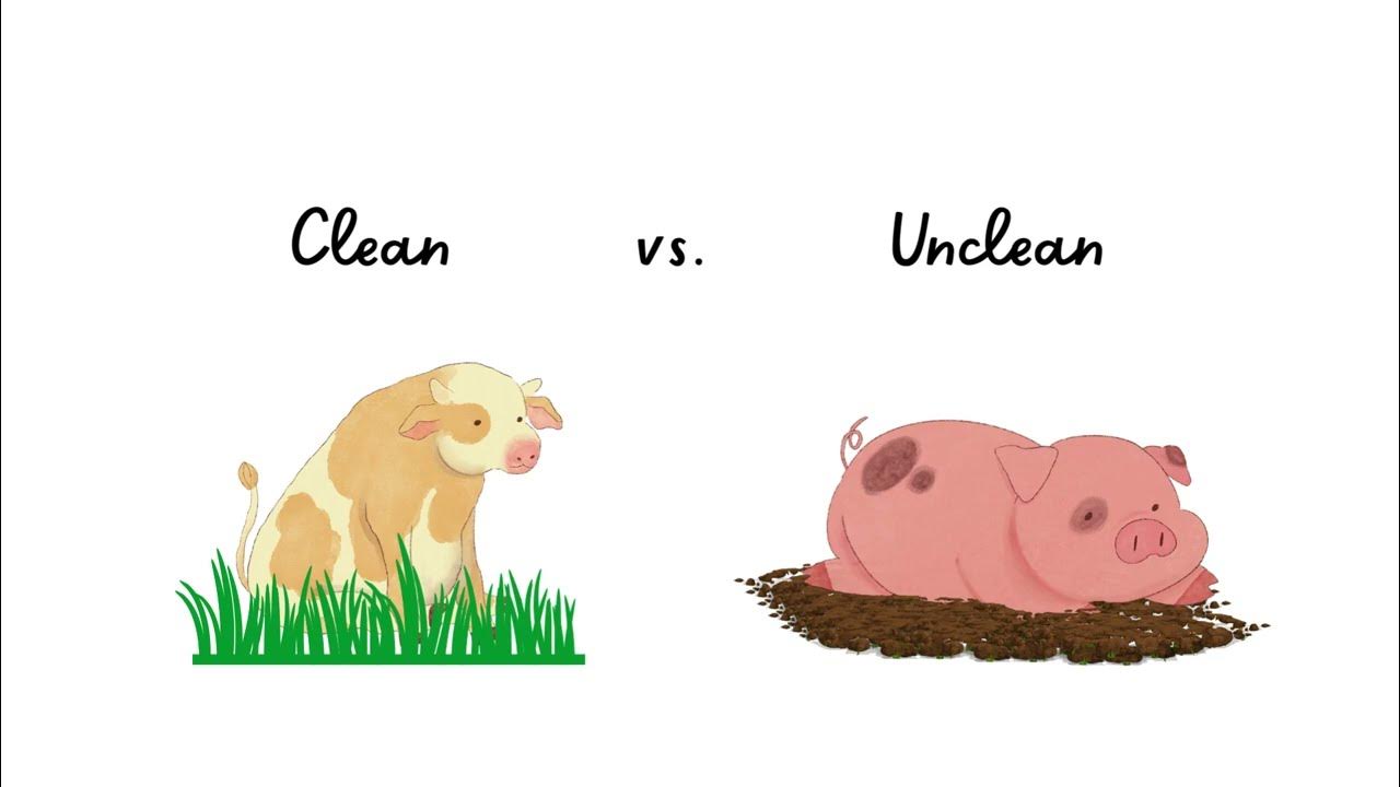 Clean vs Unclean - YouTube