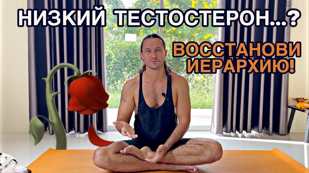 КАК ПОДНЯТЬ МУЖСКУЮ СИЛУ | ПРАВИЛЬНАЯ ИЕРАРХИЯ В СЕМЬЕ - YouTube