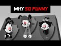 Animaniacs: Why They Make Us Laugh | Cartoon Junkies