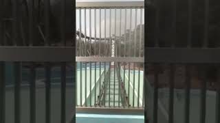 Six Flags México [Muy Divertido] 🤩🖤✨