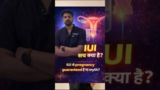 IUI Success Rate कितना है? कब करें IUI सही समय जानिए Intra Uterine Insemination #iui #infertility