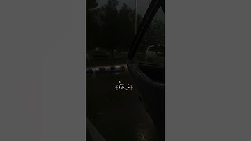 القرآن الكريم | نُّورٌ عَلَىٰ نُورٍ ۗ يَهْدِي اللَّهُ لِنُورِهِ مَن يَشَاءُ | سورة النور
