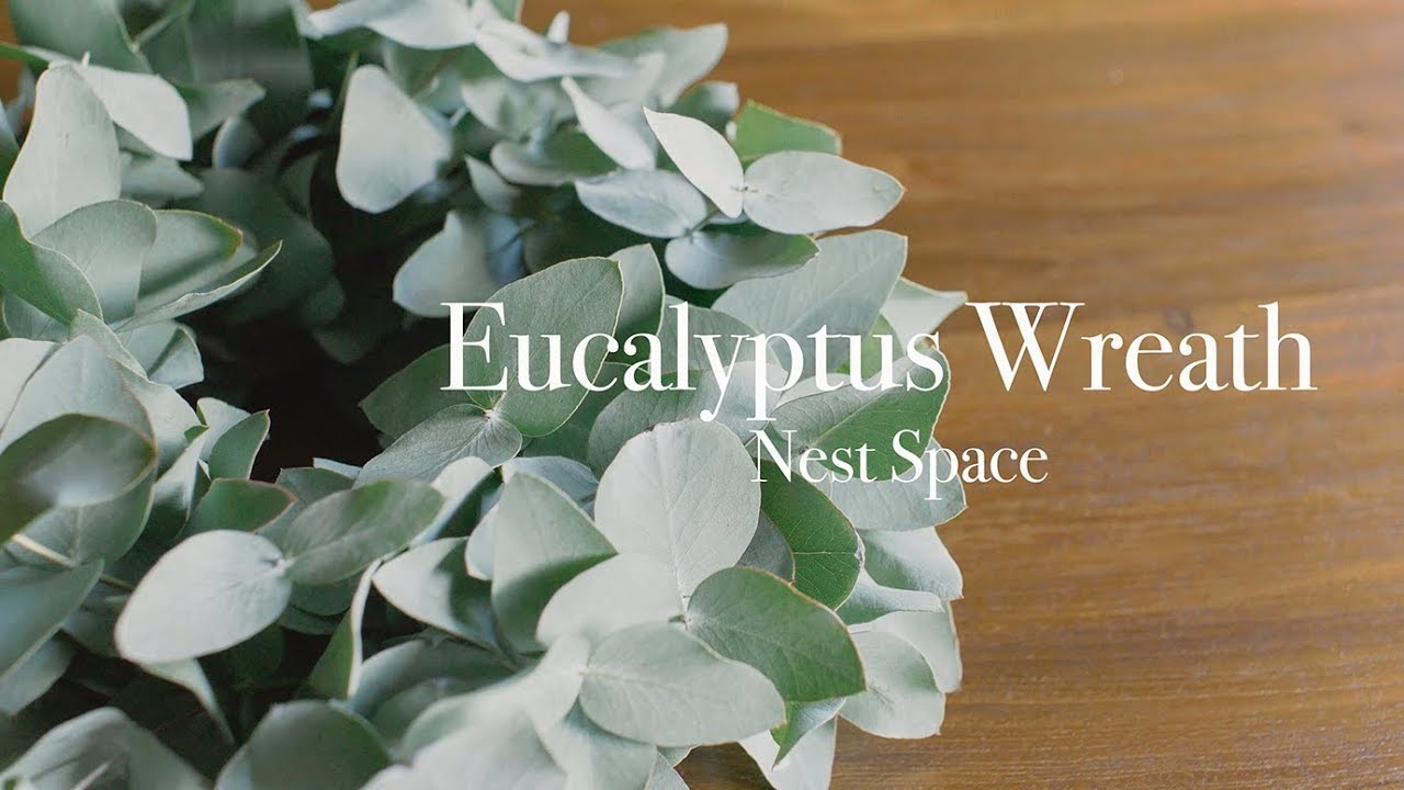 ユーカリ 016 基本のリースの作り方 How To Make A Basic Eucalyptus Wreath English Subtitles Youtube