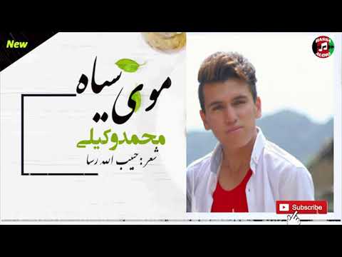 New Hazaragi Moye Seya By Mohammad Vakili 2020 موی سیاه محمدوکیلی ۲۰۲۰