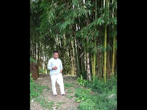 ILANG NAI cover Fransiskus baur/musik Oskar Sutoyo. lagu manggarai. mohon ijin tabe 🙏