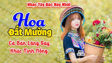 HOA ĐẤT MƯỜNG . LK Nhạc Tây Bắc Hay Nhất 2023, Nhạc Vùng Cao Tây Bắc | Cả Làng Say Khúc Tình Nồng