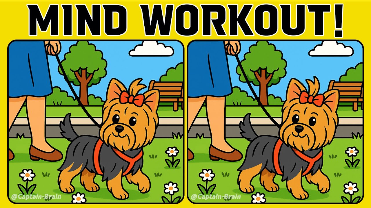 Spot the Sneaky Differences in This Puppy Picture! (A Bit Tricky)