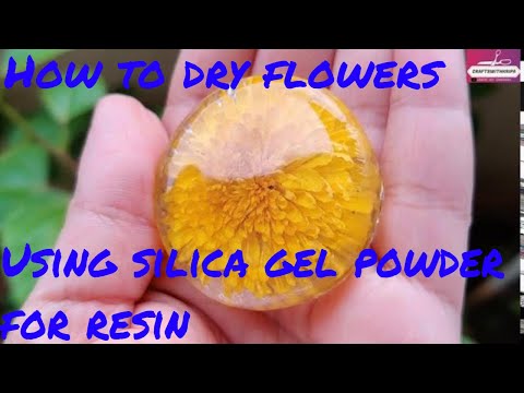 Drying Flowers Using Activa Silica Gel - Dried Flowers For Resin