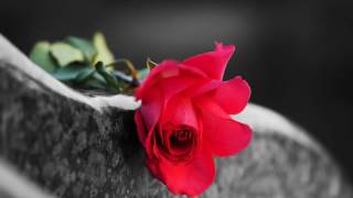 Final Farewells Funeral Pre-Arranging Products and services - Make On the net Funeral Preparations