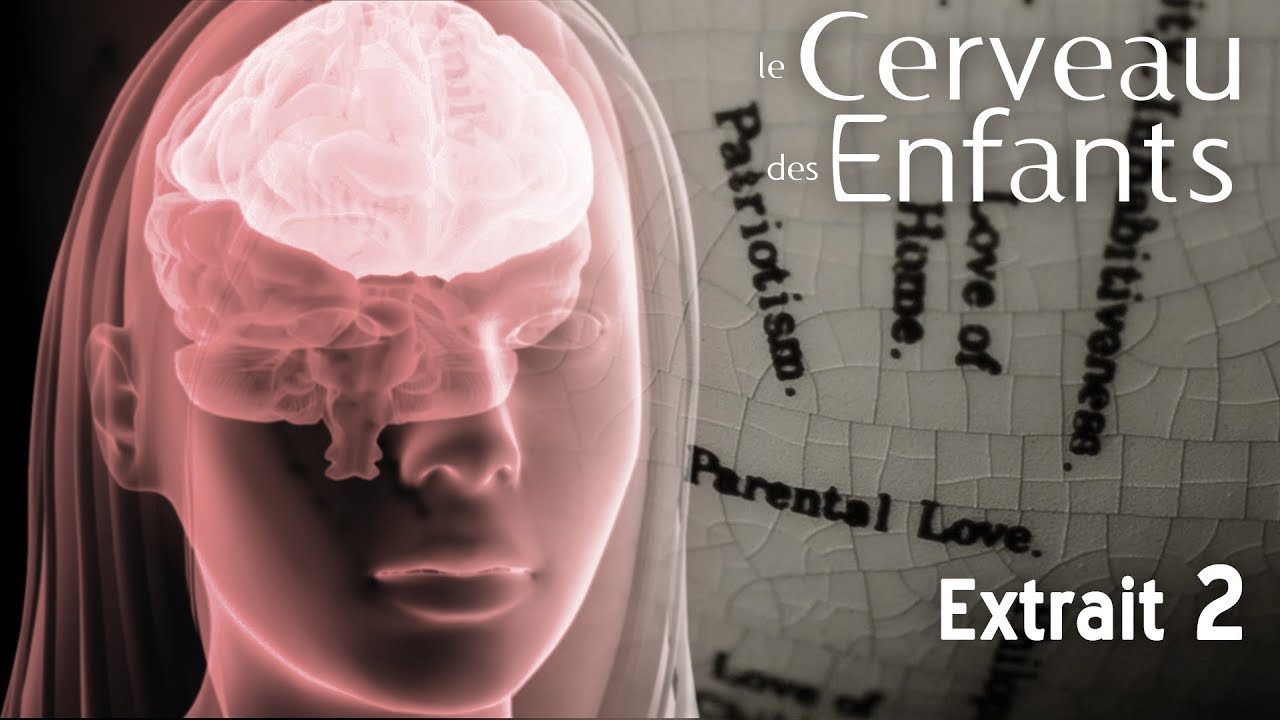 Le Cerveau des Enfants // Extait 02 // VOST YouTube Le Cerveau des Enfants // Extait 02 // VOST YouTube