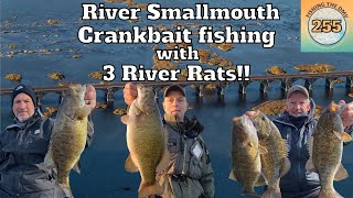 Smallmouth Crankbait Fishing with three Smallmouth River Rats