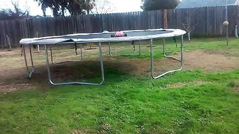 Team Losi Racing 22T running video