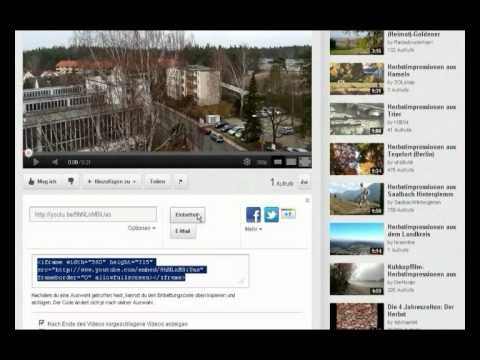 Videotutorial: So binden Sie ein Video in einen Beitrag ein