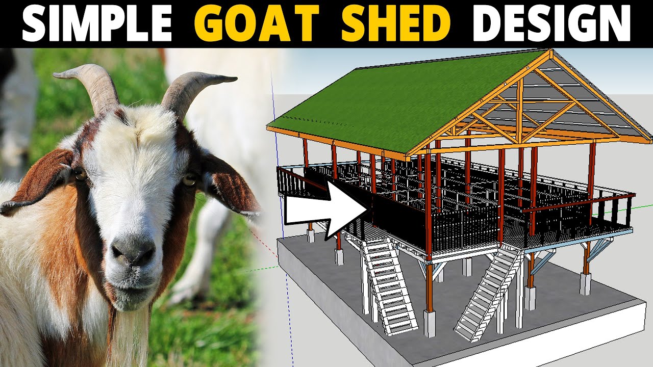 simple goat shed design goat house planning goat