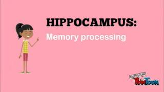 Zoology Lecture (Long Quiz) screenshot 4