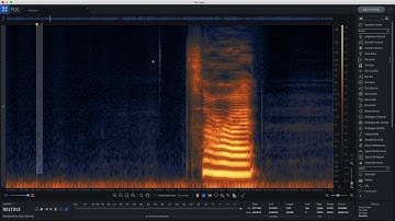 Single Click Selection  -  De-Click - iZotope RX 7 - SoundFlow