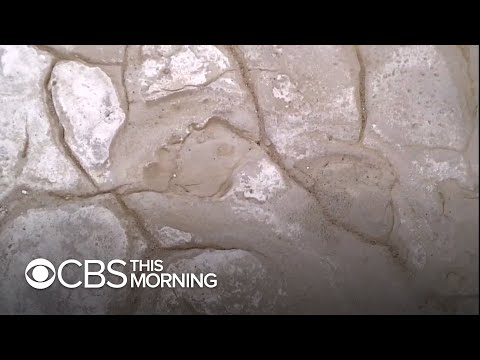 Video: A Huge Footprint In The Stone Was Found In South Africa - Alternative View