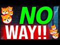CEO OF SHIBA INU REVEALED WHAT WILL HAPPEN IN JUST 48 HOURS!! - SHIBA INU NEWS TODAY