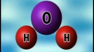 Standard Deviants School Chemistry  The Basics
