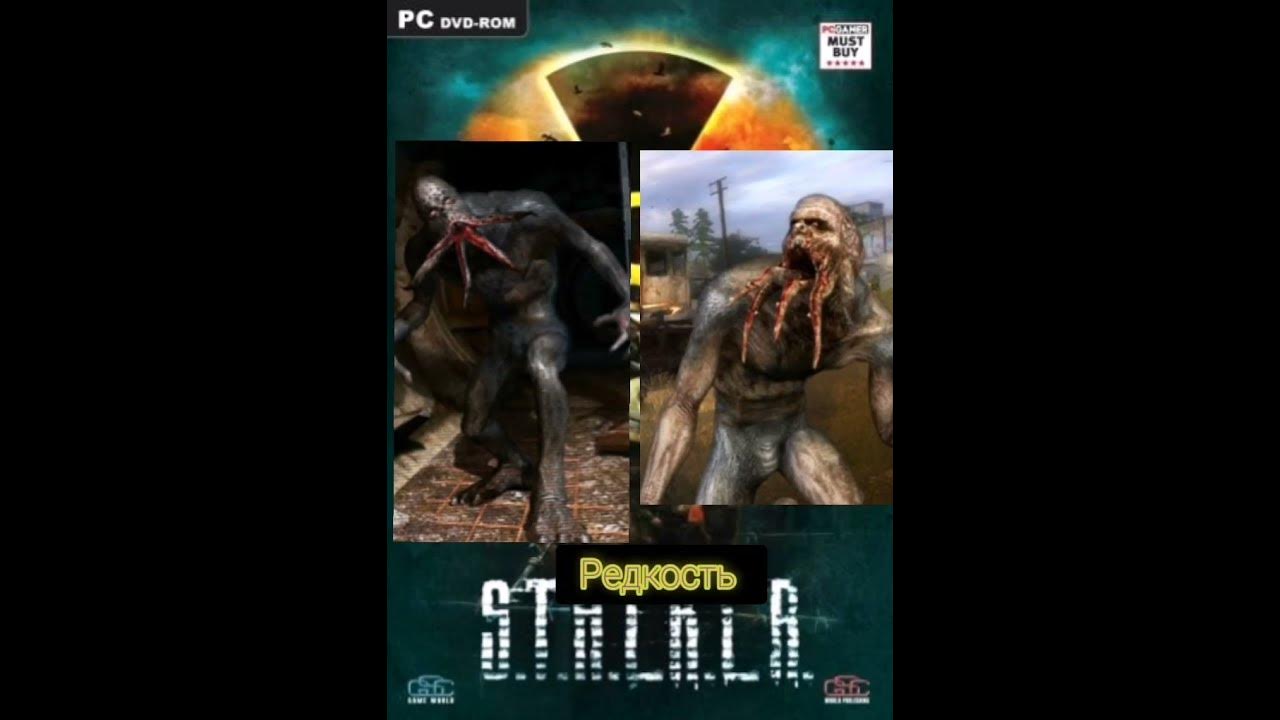 Сталкер ( Кровосос Vs болотный кровосос) - YouTube