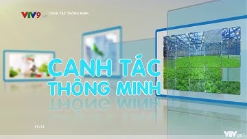 Ý NGHĨA, MỤC TIÊU CỦA VIỆC ĐỒNG BỘ CƠ GIỚI HÓA TRONG MÔ HÌNH CANH TÁC LÚA THÔNG MINH 2022