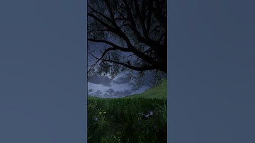 Moonshine Tree - UE5