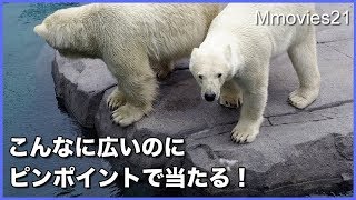 わがまま娘リラに落ち葉のお仕置き　　ララの絶妙なアメとムチ