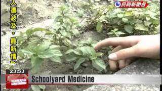 Yunlin elementary school teaches students about cultivation and use of Chinese herbal medicines screenshot 3