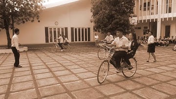 Ngày hội tới trường 12/7/2016, TH-THCS-THPT Phan Chu Trinh, Dĩ An, Bình Dương