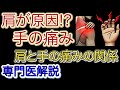 【専門医解説】肩からくる手の痛み!? 肩の痛みと手の痛みの関連