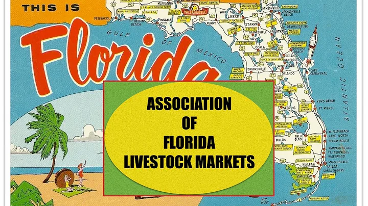 Florida Livestock Market Association
