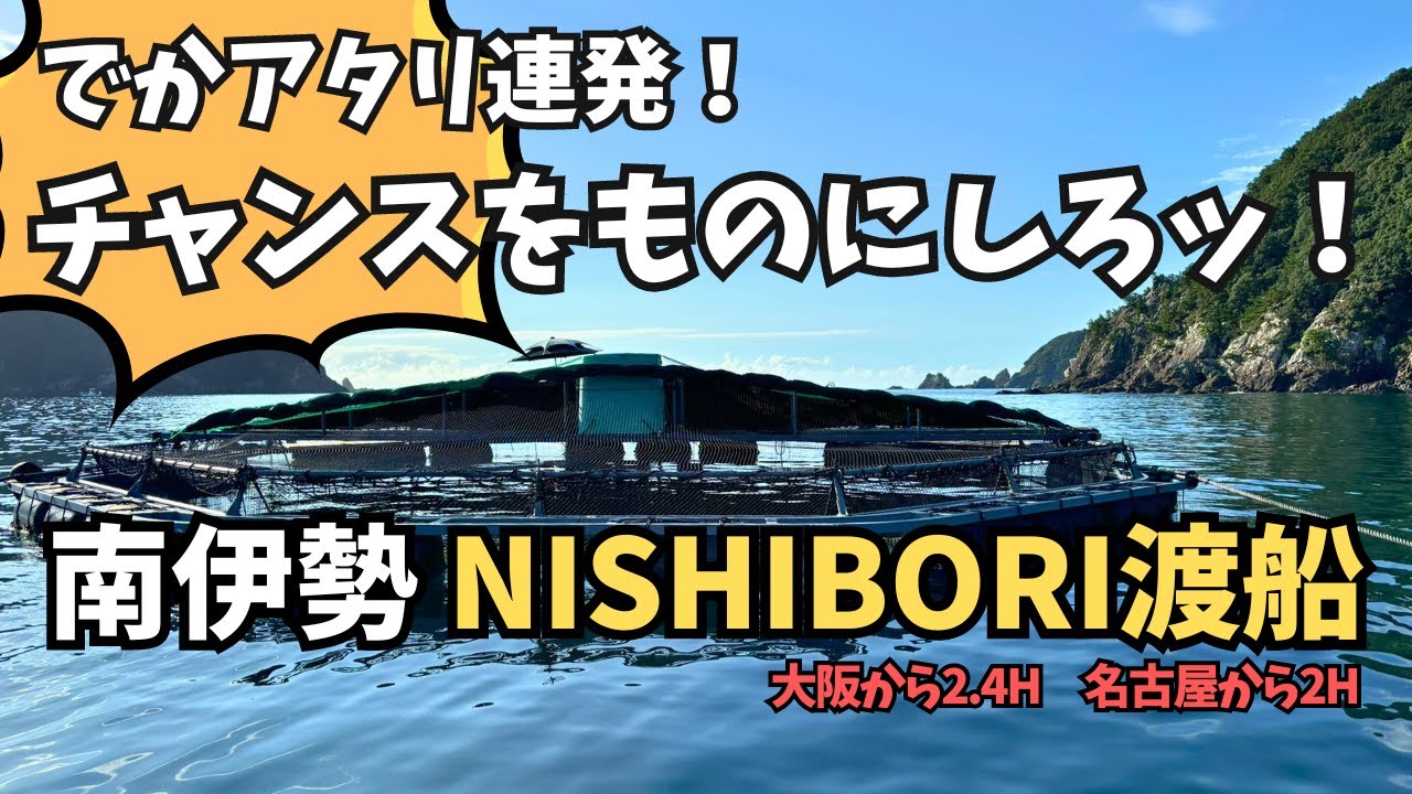 三重筏釣り【西堀渡船】人気筏アタリ連発！チャンスをものにしろ！
