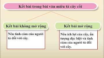 TLV 4 - Tuần 26 - Luyện tập xây dựng kết bài trong bài văn miêu tả cây cối