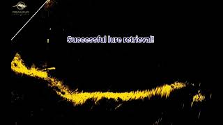 Murray Cod vs Lure Retriever With Live Sonar - Lowrance Active Target