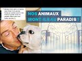 O iront les animaux dans laudel  question spi