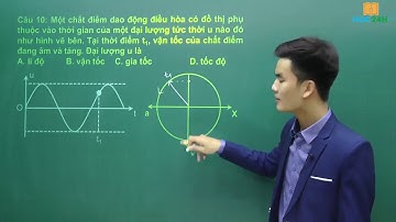Đồ thị dao động điều hòa - Câu 10 - Thầy VNA