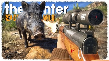 Hunting on Rancho is EASY (ʲᵘˢᵗ ᵍᵉᵗ ᵗᵃˡˡᵉʳ) | theHunter: Call of the Wild