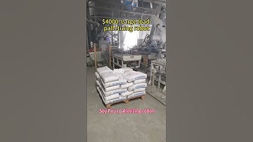 Large load palletizing robot. #factory #industrialrevolution #roboticpalletizer #machine #robotics