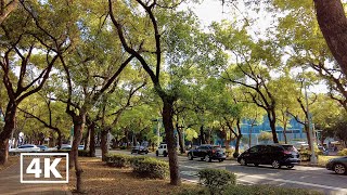 4K Vivid Tour Ambiance: Early morning walk around at Taipei Arena 60P