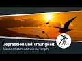 DEPRESSION UND TRAURIGKEIT - Wie sie entsteht und wie sie vergeht. Martin Vedder