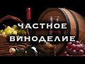 Частное виноделие | ТОП частных виноделен | mmm-blog |  Крым 2021 | вино Массандра | Крым сегодня