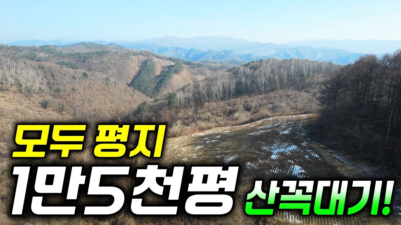 산꼭대기 1만5천평 모두 계획관리지역 평지! 토지 가격은 더욱 놀랍습니다