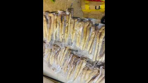 Nhục thung dung tươi, vị thuốc nhục thung dung, dược liệu quý hiếm